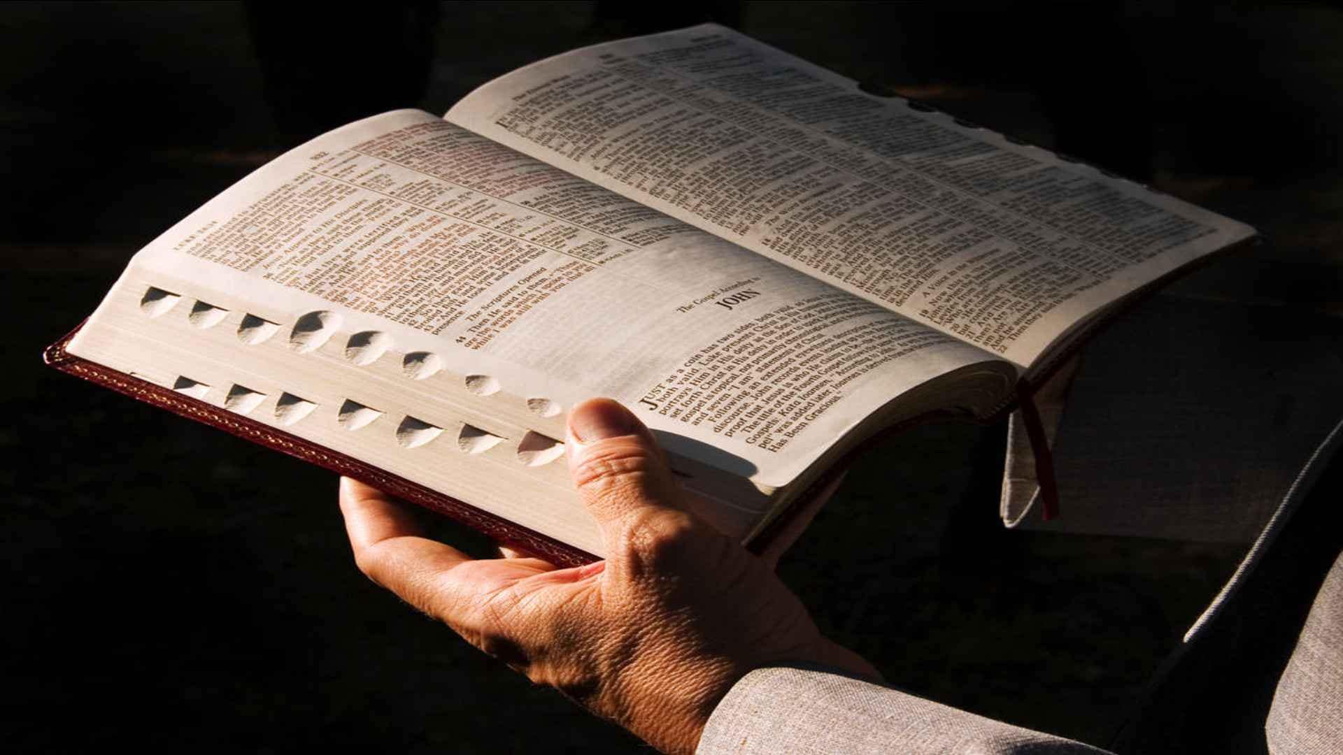 7 Categorias de Bíblias Em Português